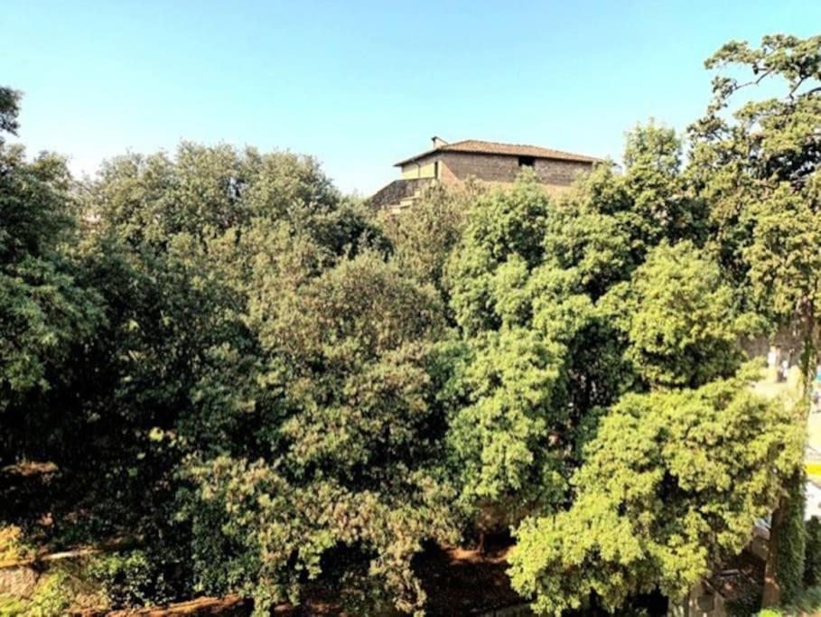 * * * * * Casa Vista Boboli Nel Cuore Di Firenze Extérieur photo